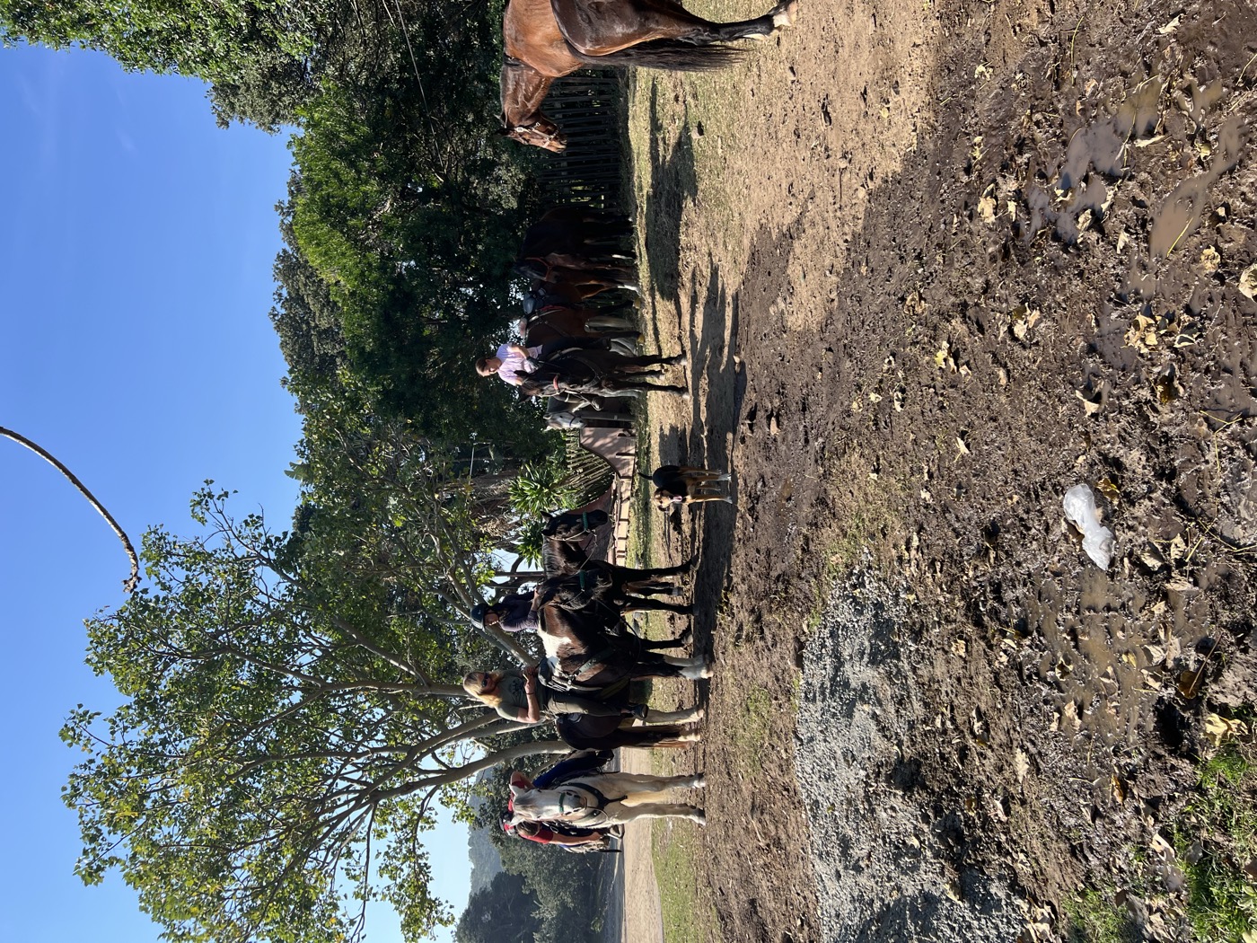 Sacred Pools Horse Trail - Photo 3