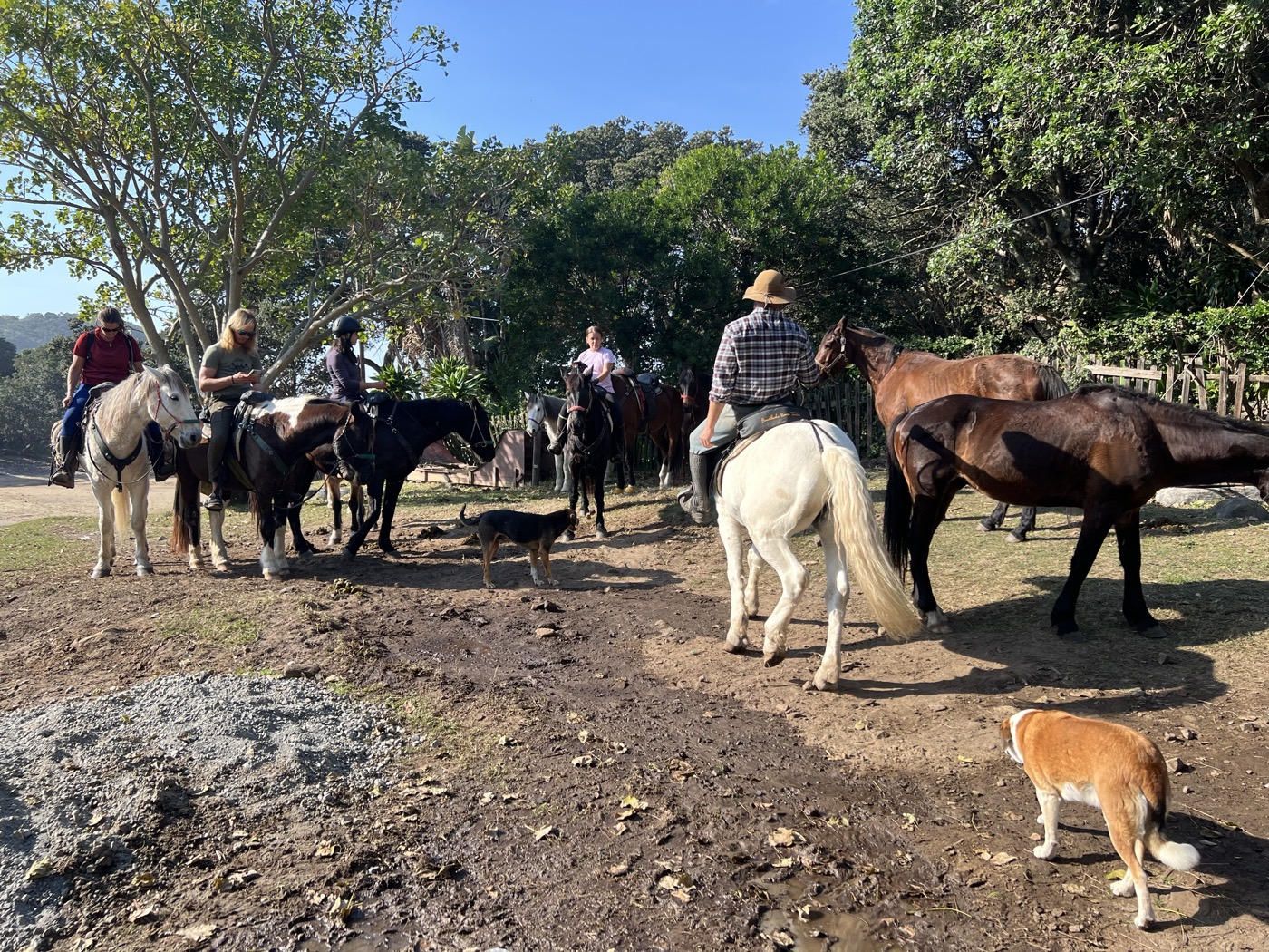 Sacred Pools Horse Trail - Photo 4
